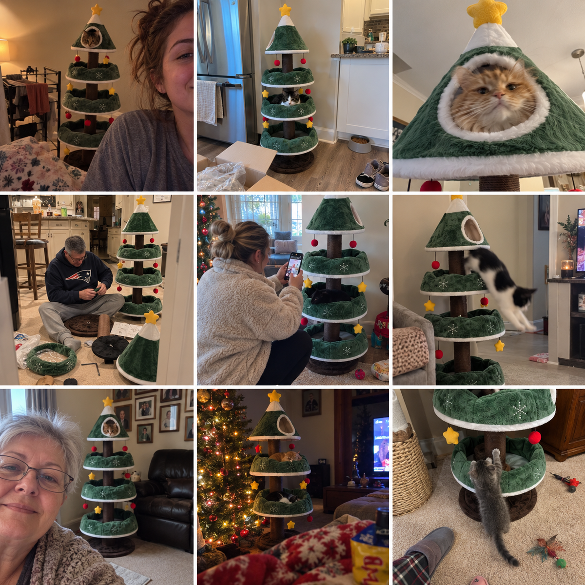 Christmas Tree For Cats